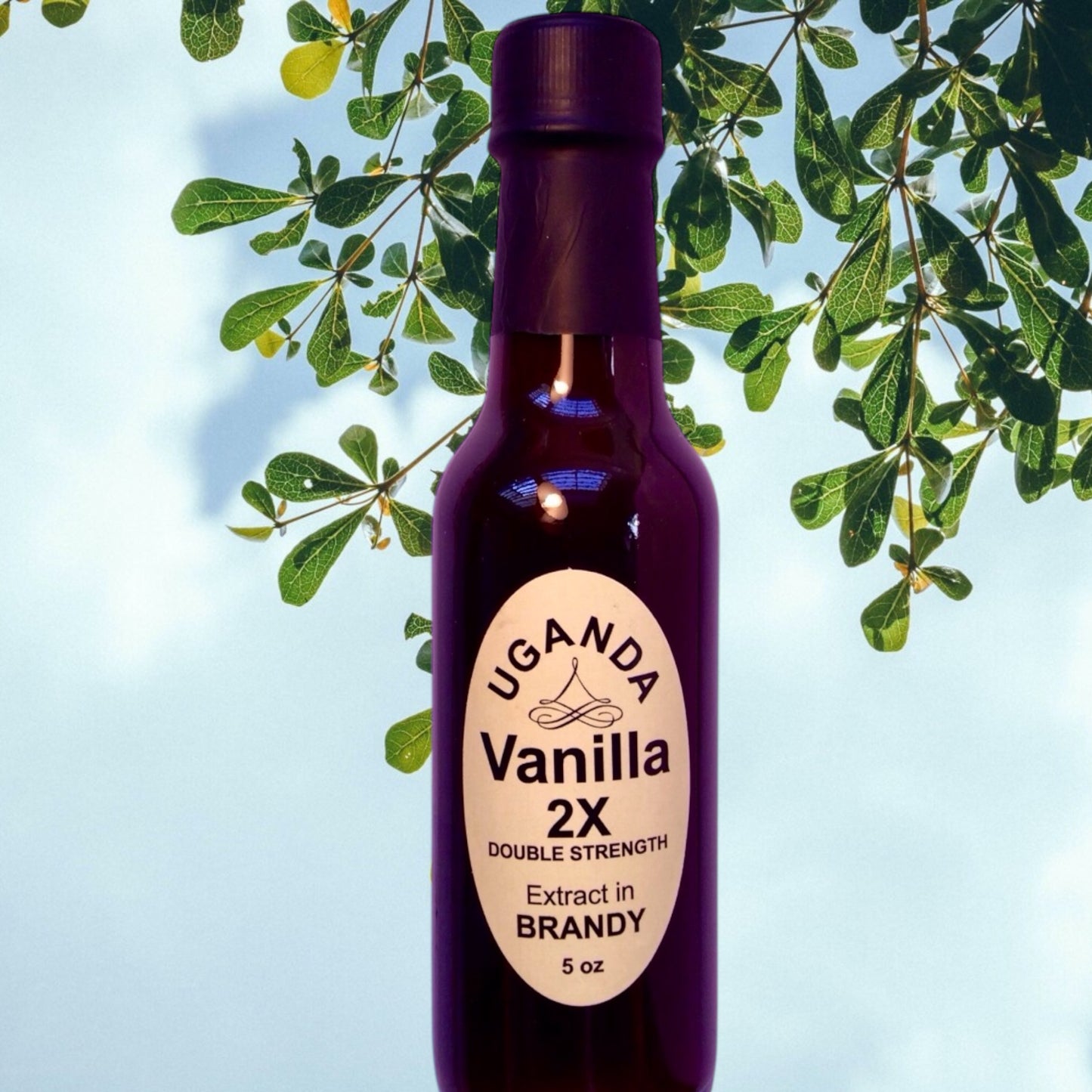 Vanilla Extract-Uganda (DOUBLE STRENGTH extracted in brandy) 5oz