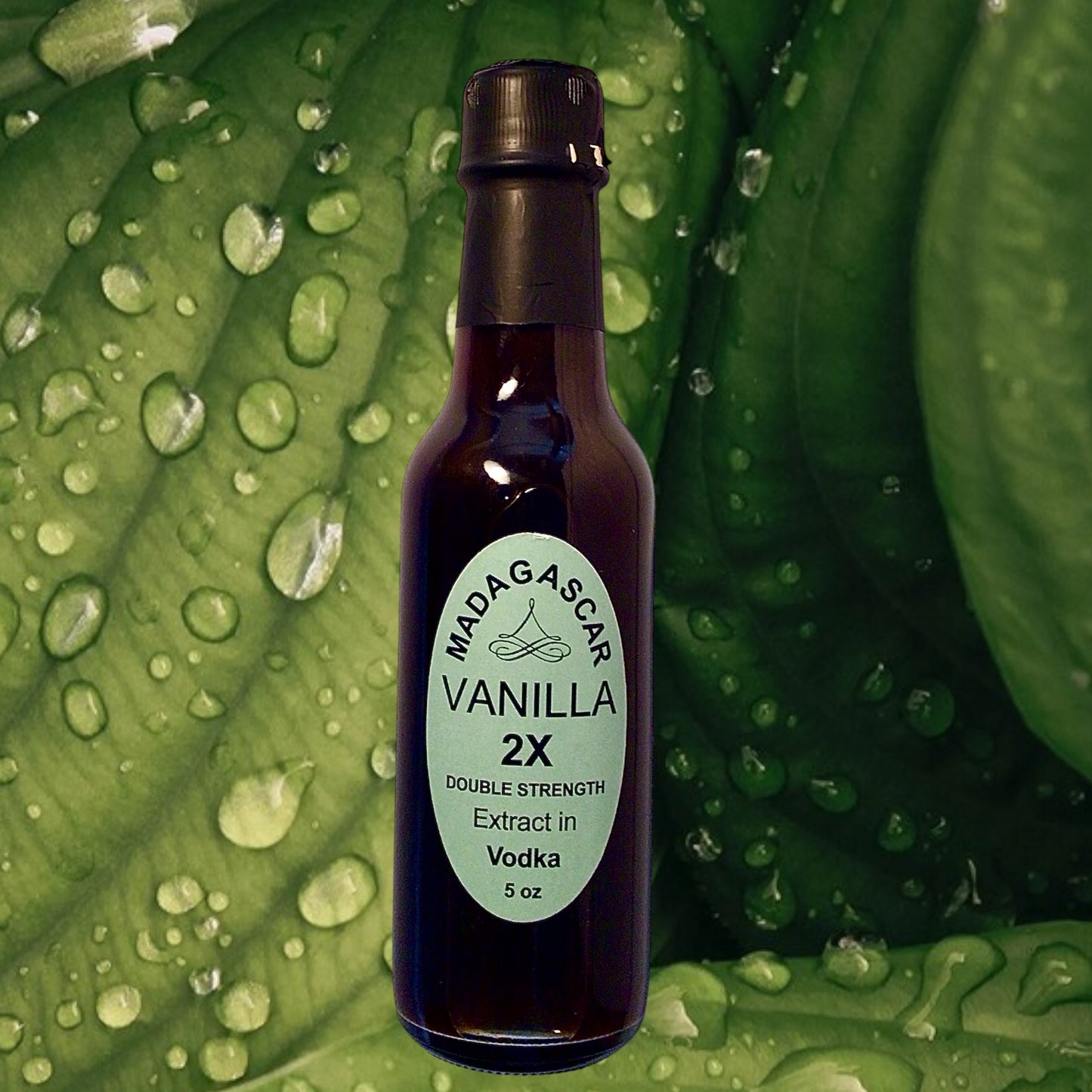 Madagascar Vanilla Extract (DOUBLE STRENGTH, extracted in vodka) 5oz